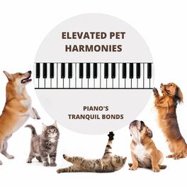 Album cover of Elevated Pet Harmonies: Piano's Tranquil Bonds