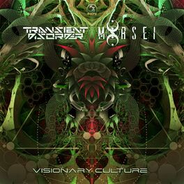 Album cover of Visionary Culture