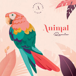 Album cover of Animal - Amphitryon Remix