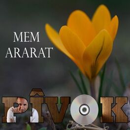 Album picture of Pîvok