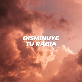 Album cover of Disminuye tu rabia
