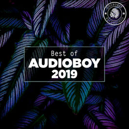 Album cover of Best of Audioboy 2019