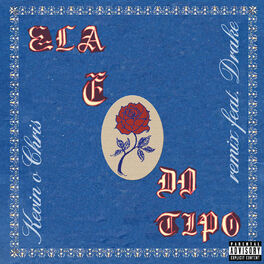Album cover of Ela É do Tipo (feat. Drake) [Remix]