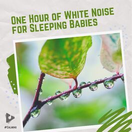 Album cover of 1 Hour of White Noise for Sleeping Babies