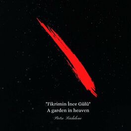 Album cover of Fikrimin İnce Gülü (A garden in heaven)
