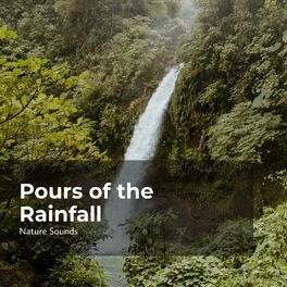 Album cover of Pours of the Rainfall