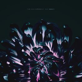 Album cover of Our Bones