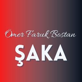 Album cover of Şaka