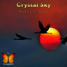 Album cover of Silver Sun