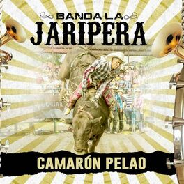 Album cover of Camarón Pelao