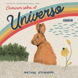 Album cover of Caminar Sobre el Universo