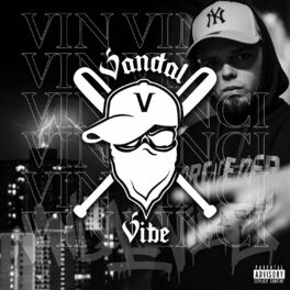 Album cover of Vandal Vibe