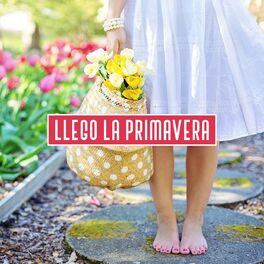 Album cover of Llegó la primavera