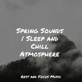 Album cover of Spring Sounds | Sleep and Chill Atmosphere