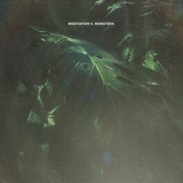 Album cover of Meditation II. Monstera