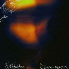 Album cover of Forbidden Dimension
