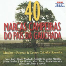 Album cover of 40 Marcas Campeiras do País da Gauchada