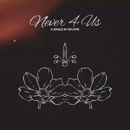 Album cover of NEVER4US