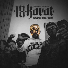 Album cover of Boys in the Hood