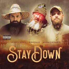 Album cover of Stay Down
