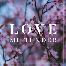 Album cover of Love Me Tender (Acoustic Cover)
