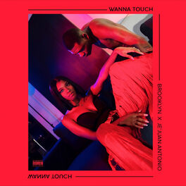 Album cover of Wanna Touch
