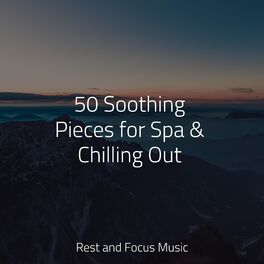 Album cover of 50 Soothing Pieces for Spa & Chilling Out