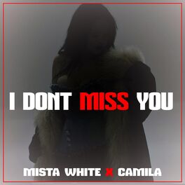 Album cover of I Don't Miss You (feat. Camila)