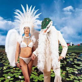 Album cover of Alligator Farm