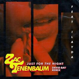 Album cover of Just for the Night (David Bay Remix)