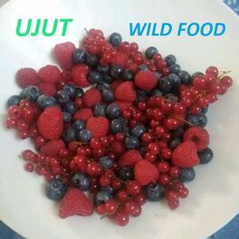 Album cover of Wild Food