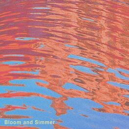 Album cover of Bloom and Simmer