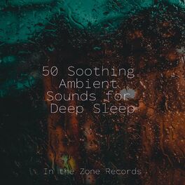 Album cover of 50 Soothing Ambient Sounds for Deep Sleep