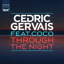 Album cover of Through The Night (Remixes)