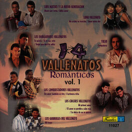 Album cover of 14 Vallenatos Románticos, Vol. 1