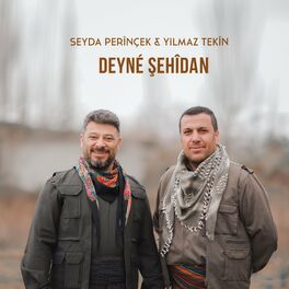 Album cover of Deyne Şehidan
