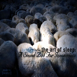 Album picture of The Art Of Sleep: A Sound Bed For Insomniacs