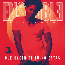 Album cover of Qué Hacer Si Tú No Estás