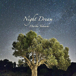Album cover of Night Dream