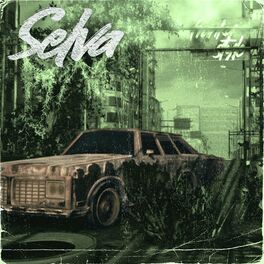 Album picture of Selva