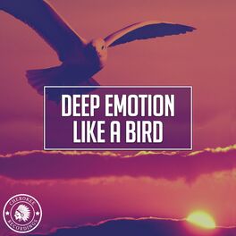 Album cover of Like A Bird