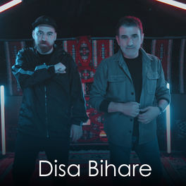 Album cover of Disa Bihare
