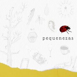 Album cover of pequenezas