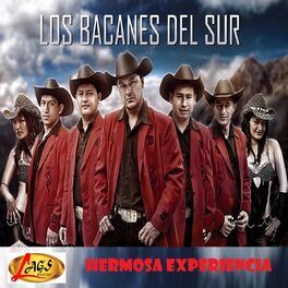 Album cover of Hermosa Experiencia