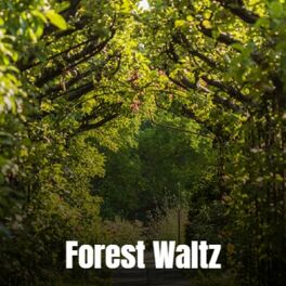 Album cover of Forest Waltz