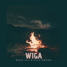 Album cover of Wiga