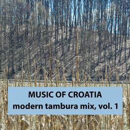 Album cover of Music Of Croatia - Modern Tambura Mix, Vol. 1