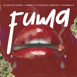 Album cover of FUMA
