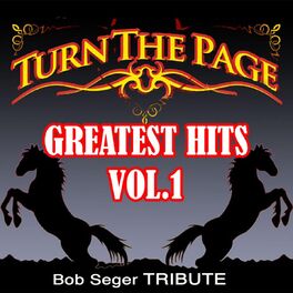 Album cover of Greatest Hits: Vol. 1: Bob Seger Tribute