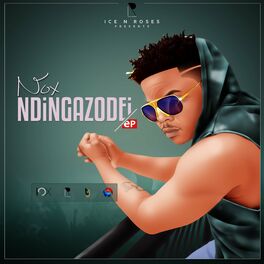 Album cover of Ndingazodei